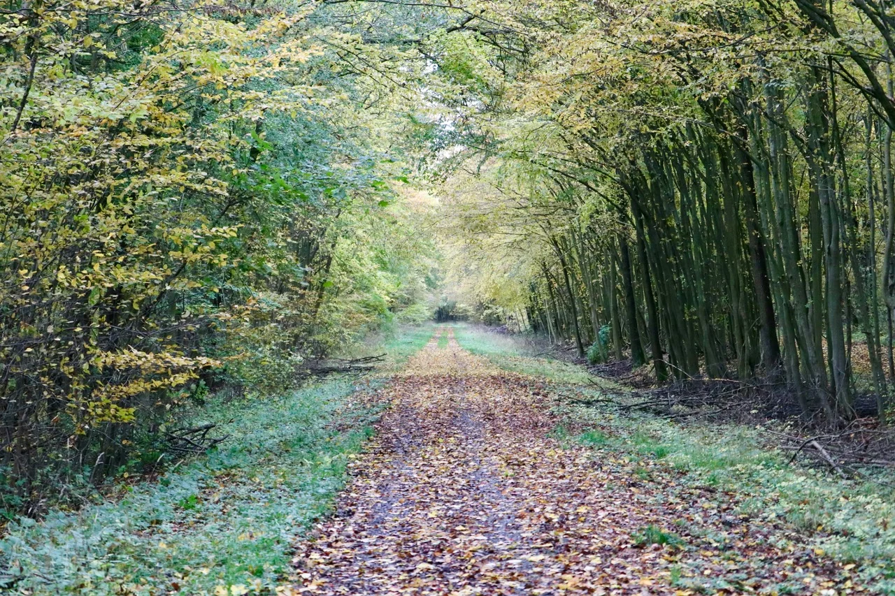 © DAV Göttingen