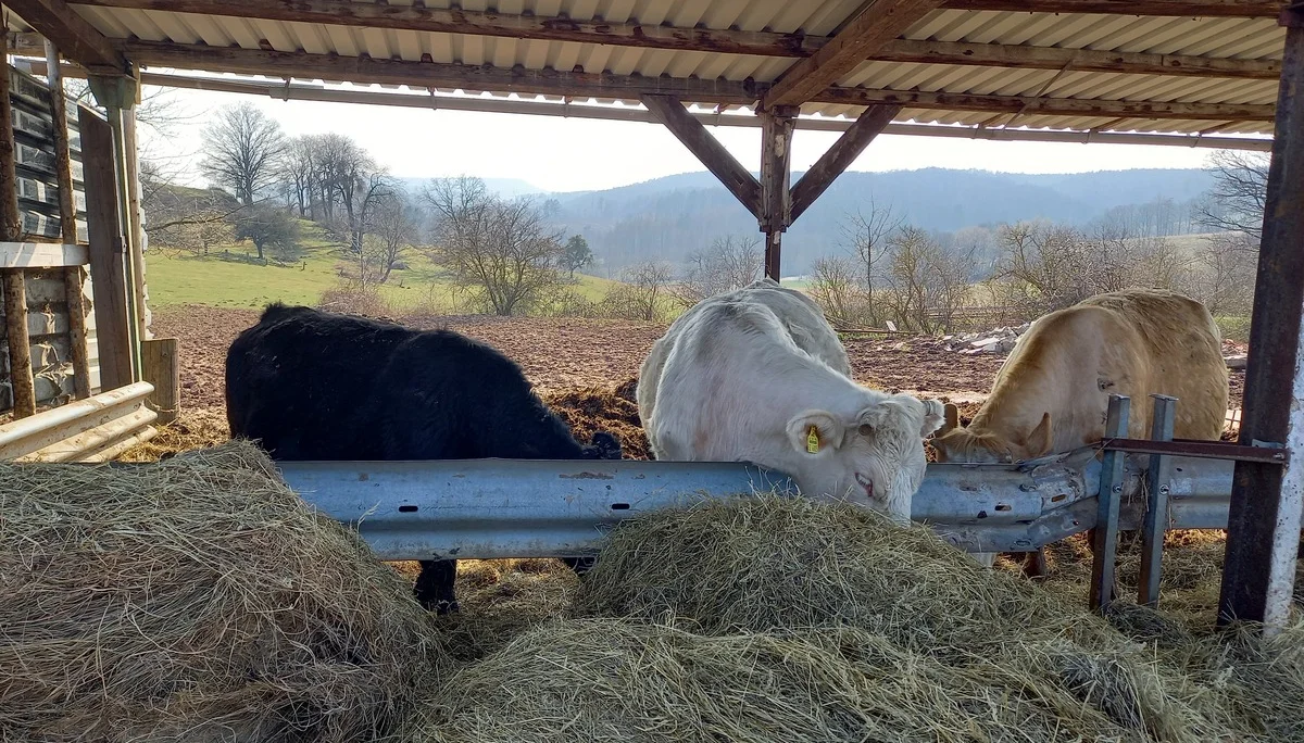 Christiane Mulle | © Christiane Mulle