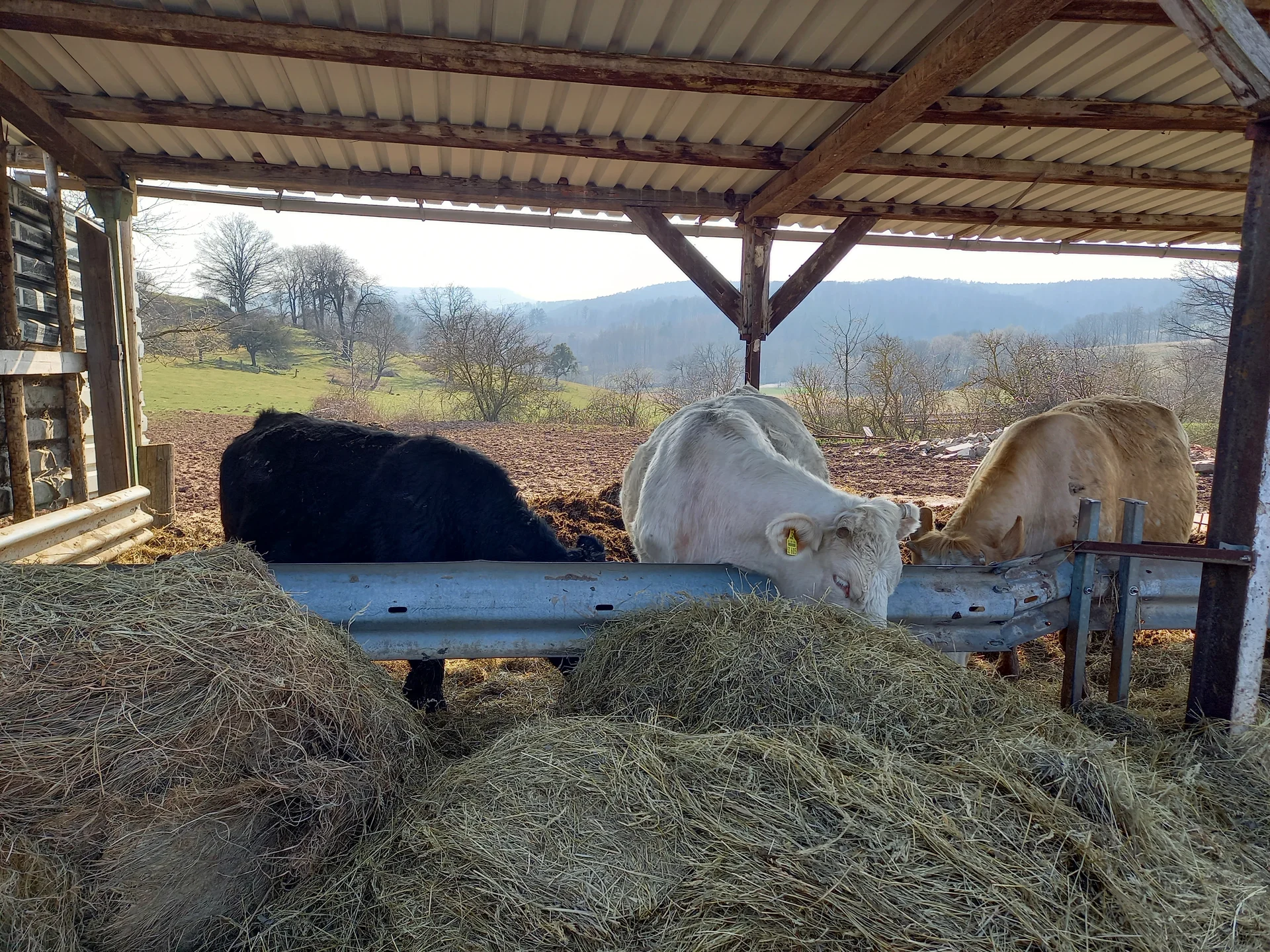 Christiane Mulle | © Christiane Mulle