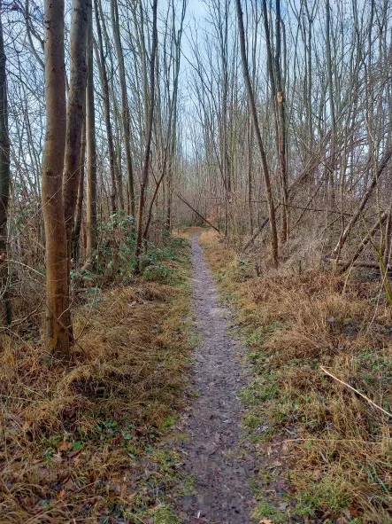 Obernjesa | © Christiane Mulle