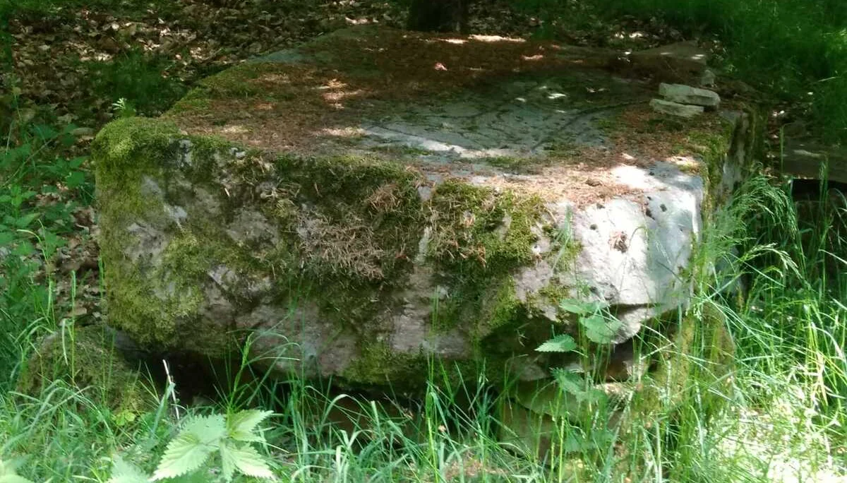 Christiane Mulle | © Christiane Mulle