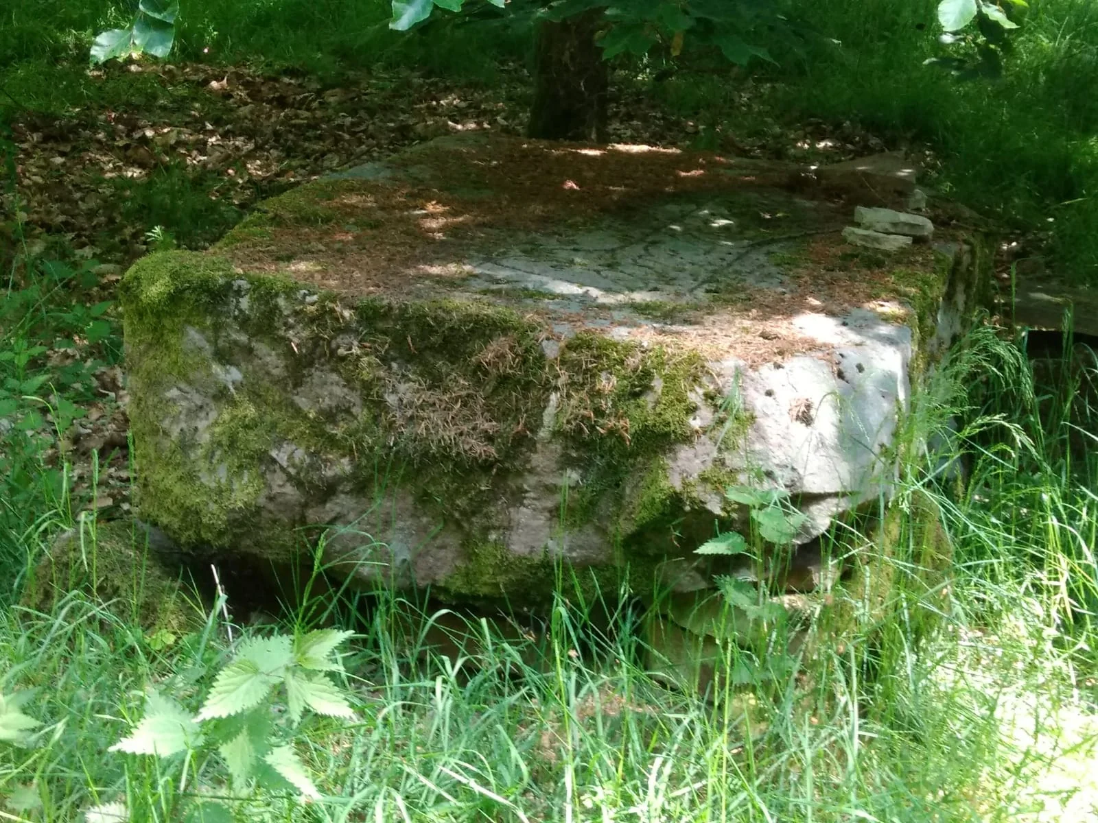 Christiane Mulle | © Christiane Mulle