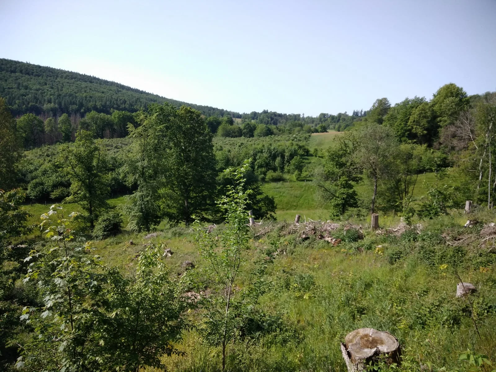 Christiane Mulle | © Christiane Mulle