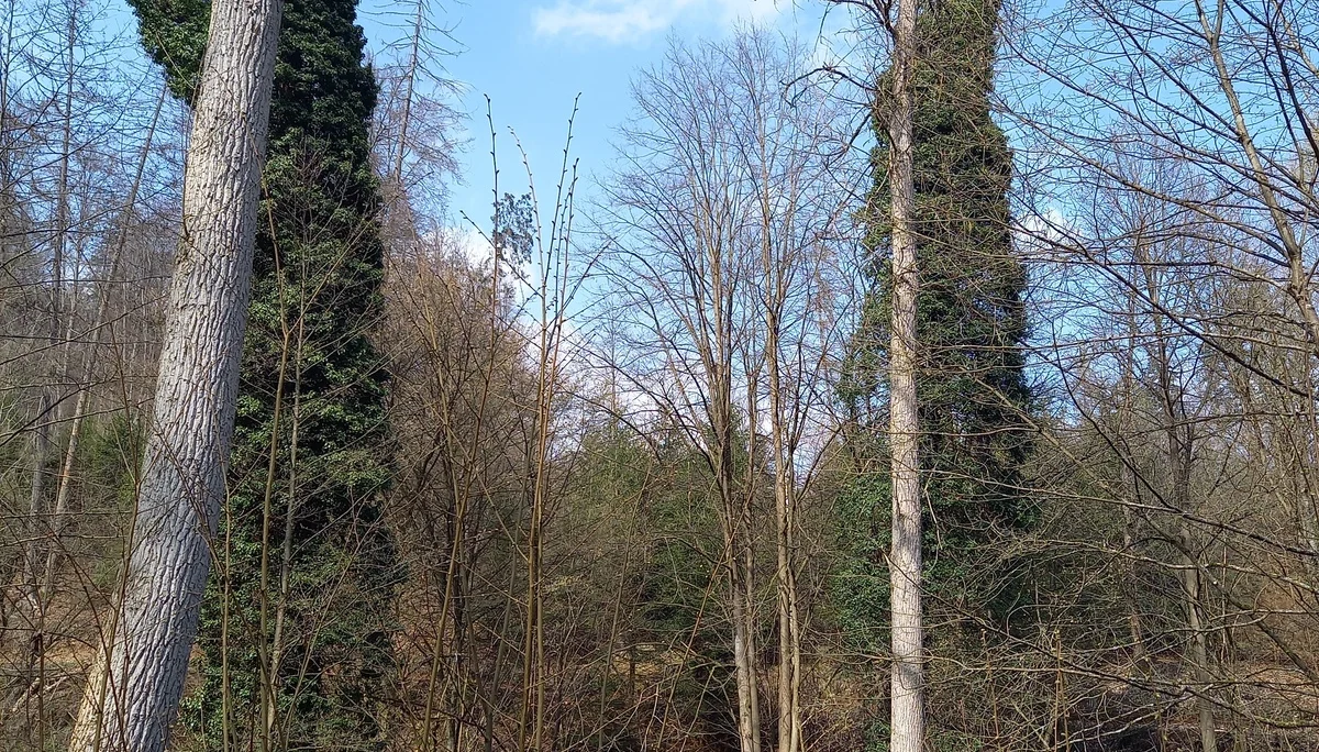 Christiane Mulle | © Christine Mulle