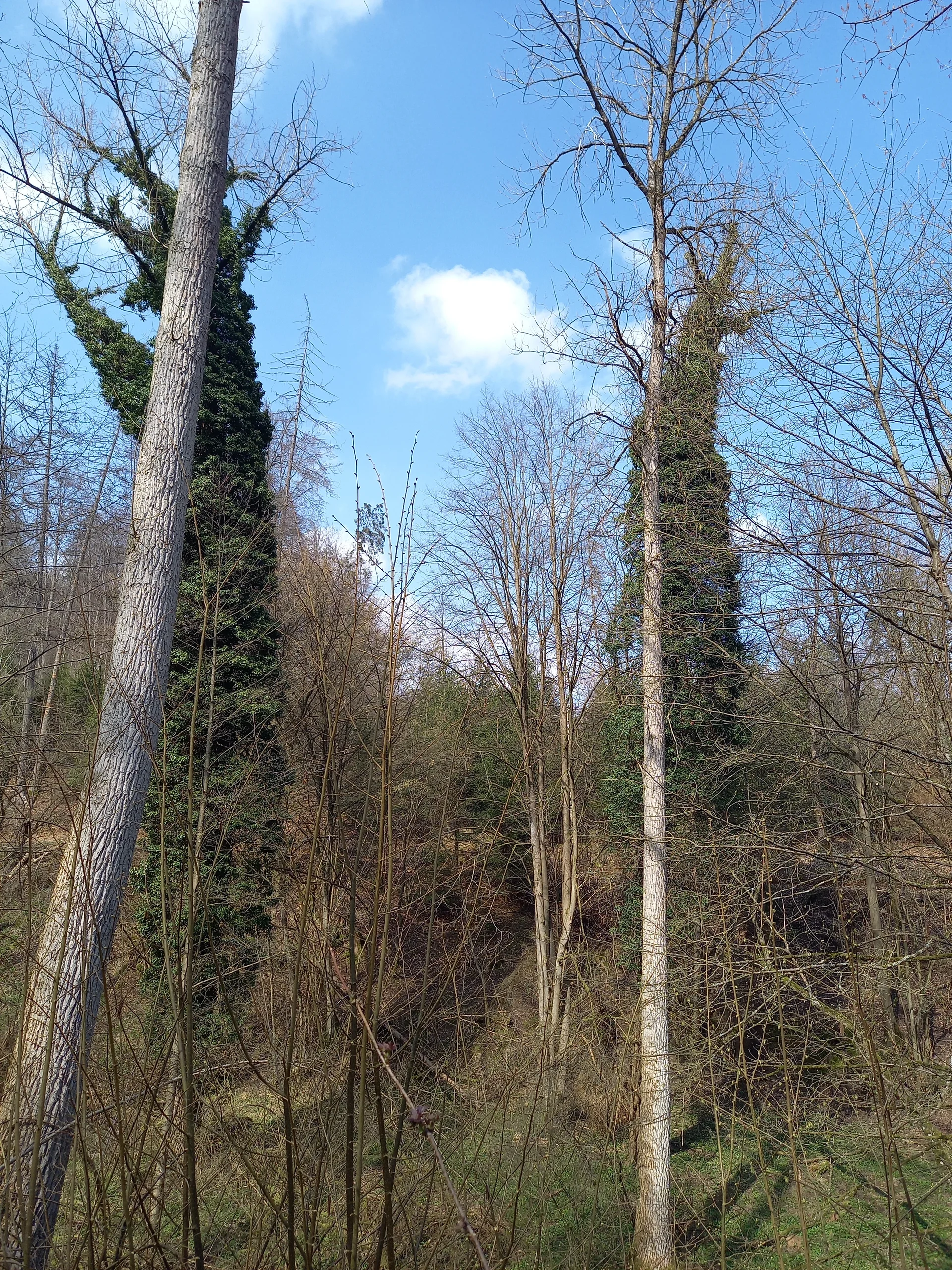 Christiane Mulle | © Christine Mulle