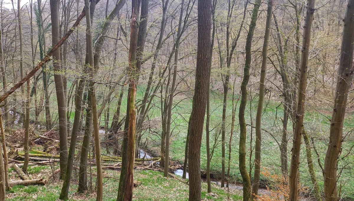 Christiane Mulle | © Christiane Mulle