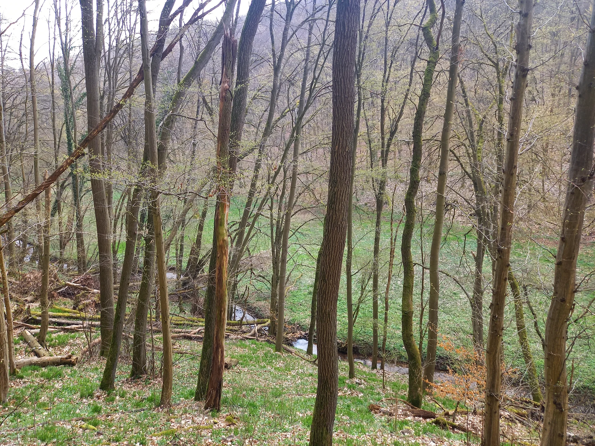 Christiane Mulle | © Christiane Mulle