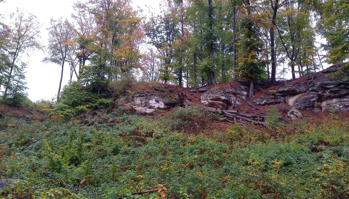 Christiane Mulle | © Christiane Mulle