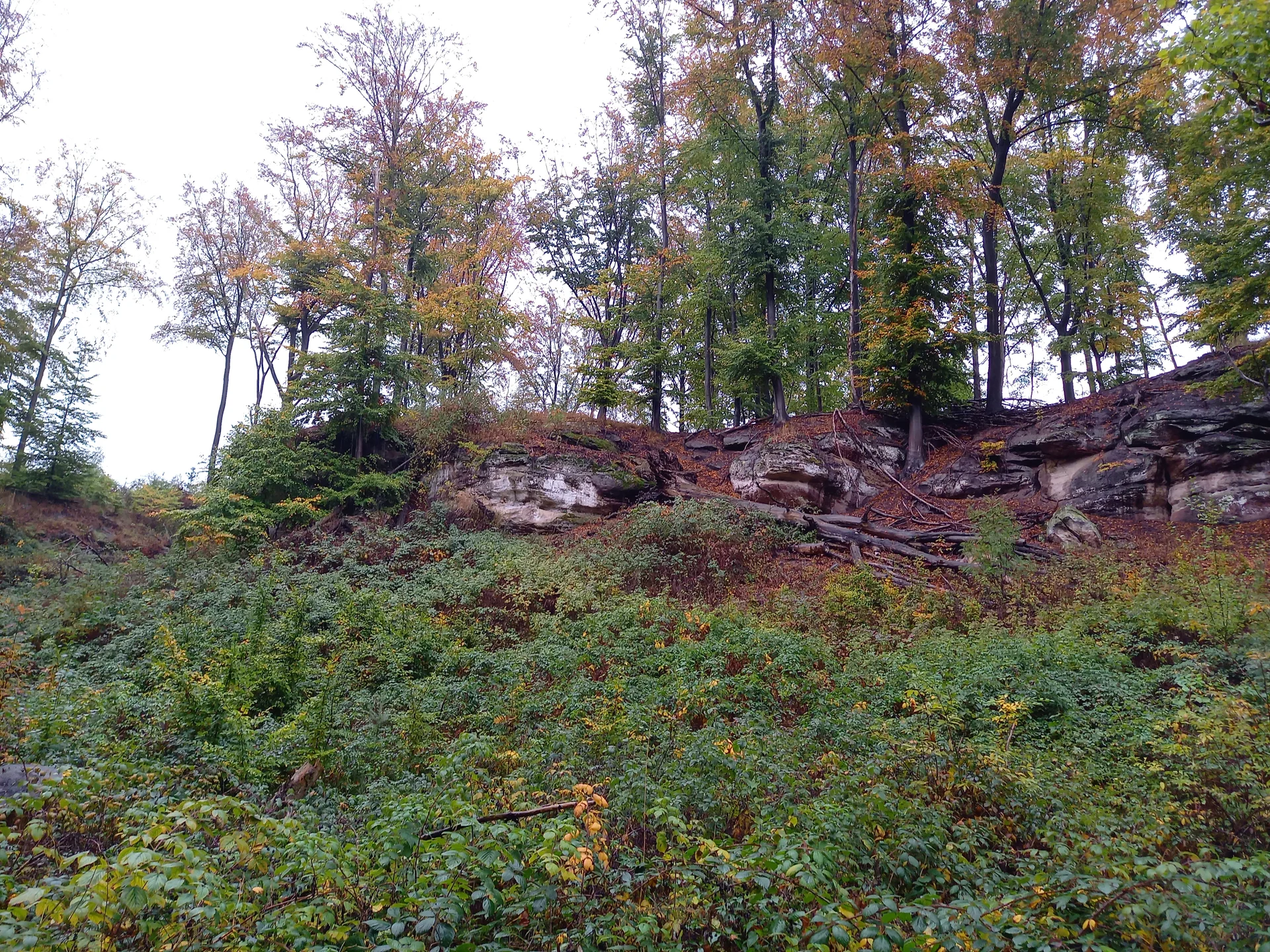 Christiane Mulle | © Christiane Mulle