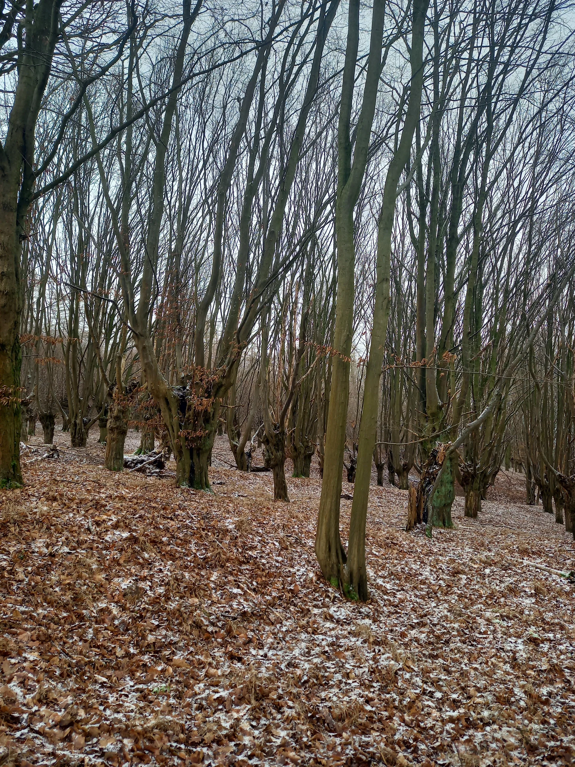 Christiane Mulle | © Christiane Mulle