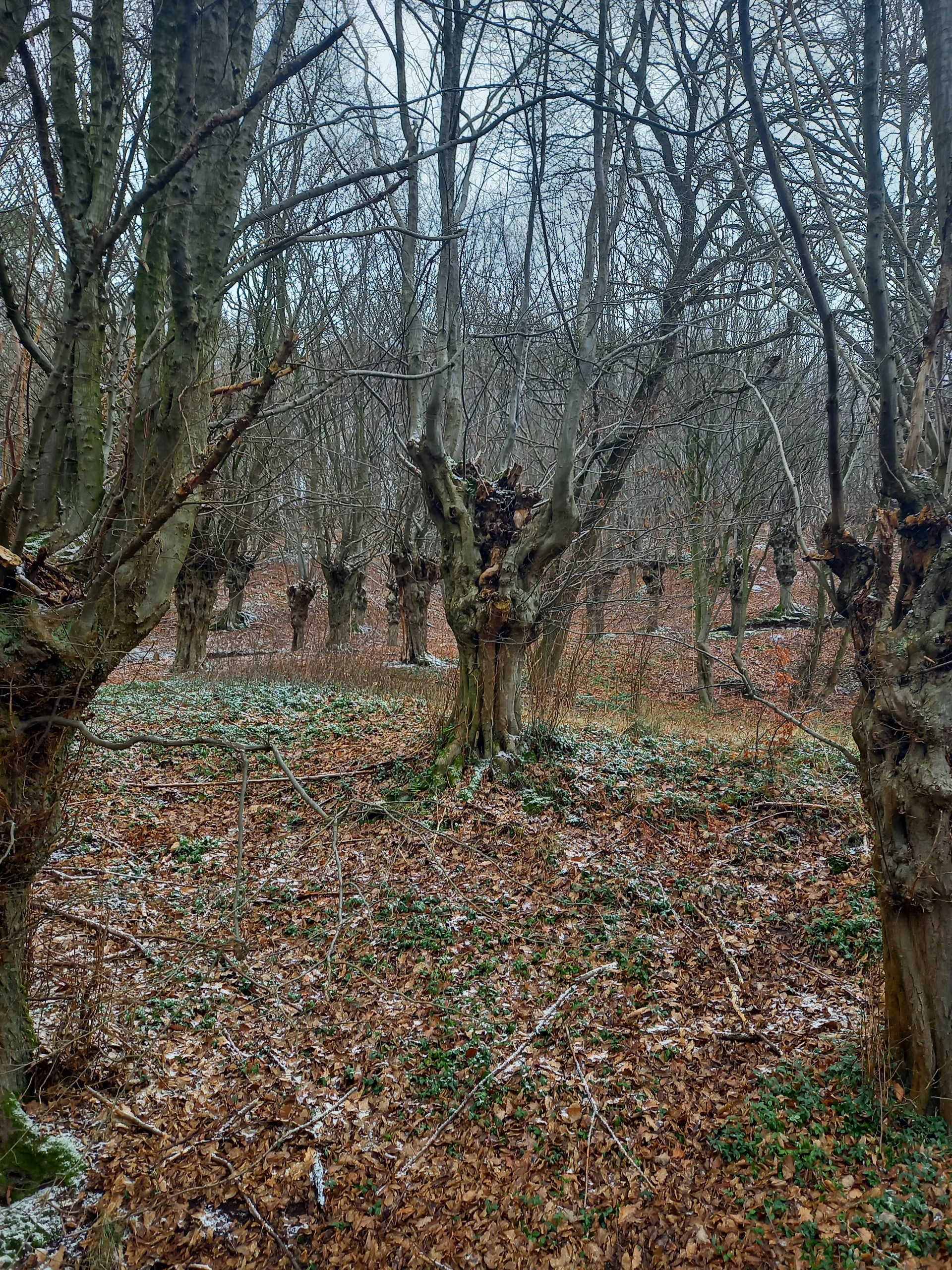 Christiane Mulle | © Christiane Mulle