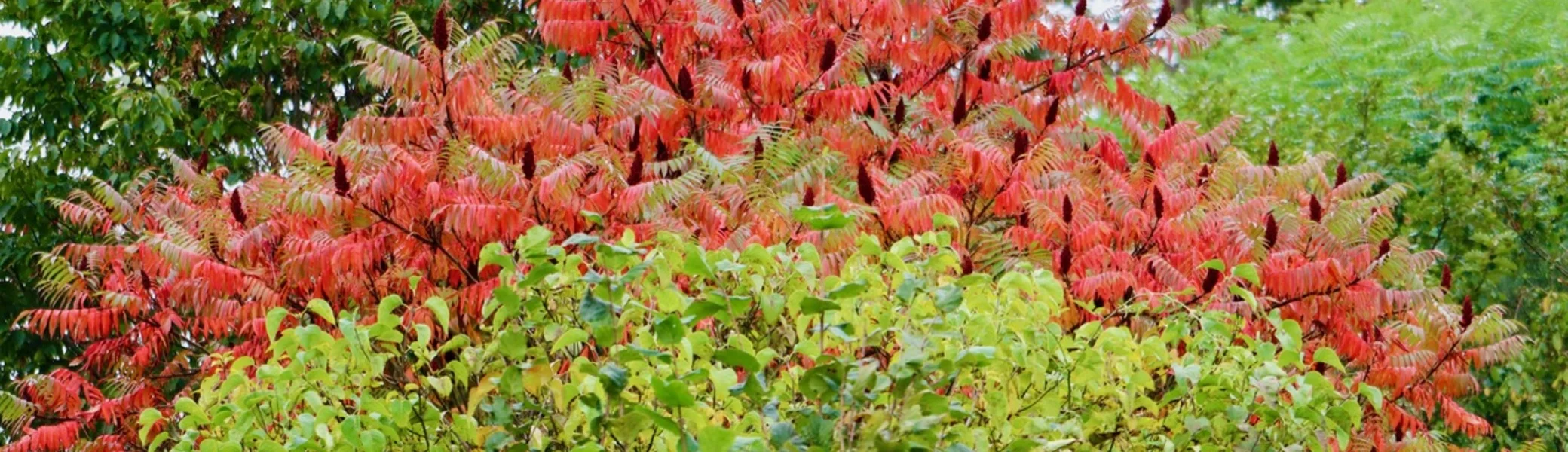 DAV Göttingen | © DSV Göttingen