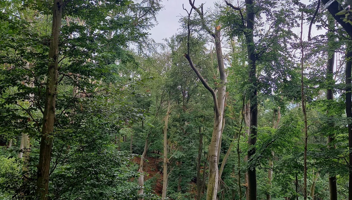 DAV Göttingen | © DAV Göttingen