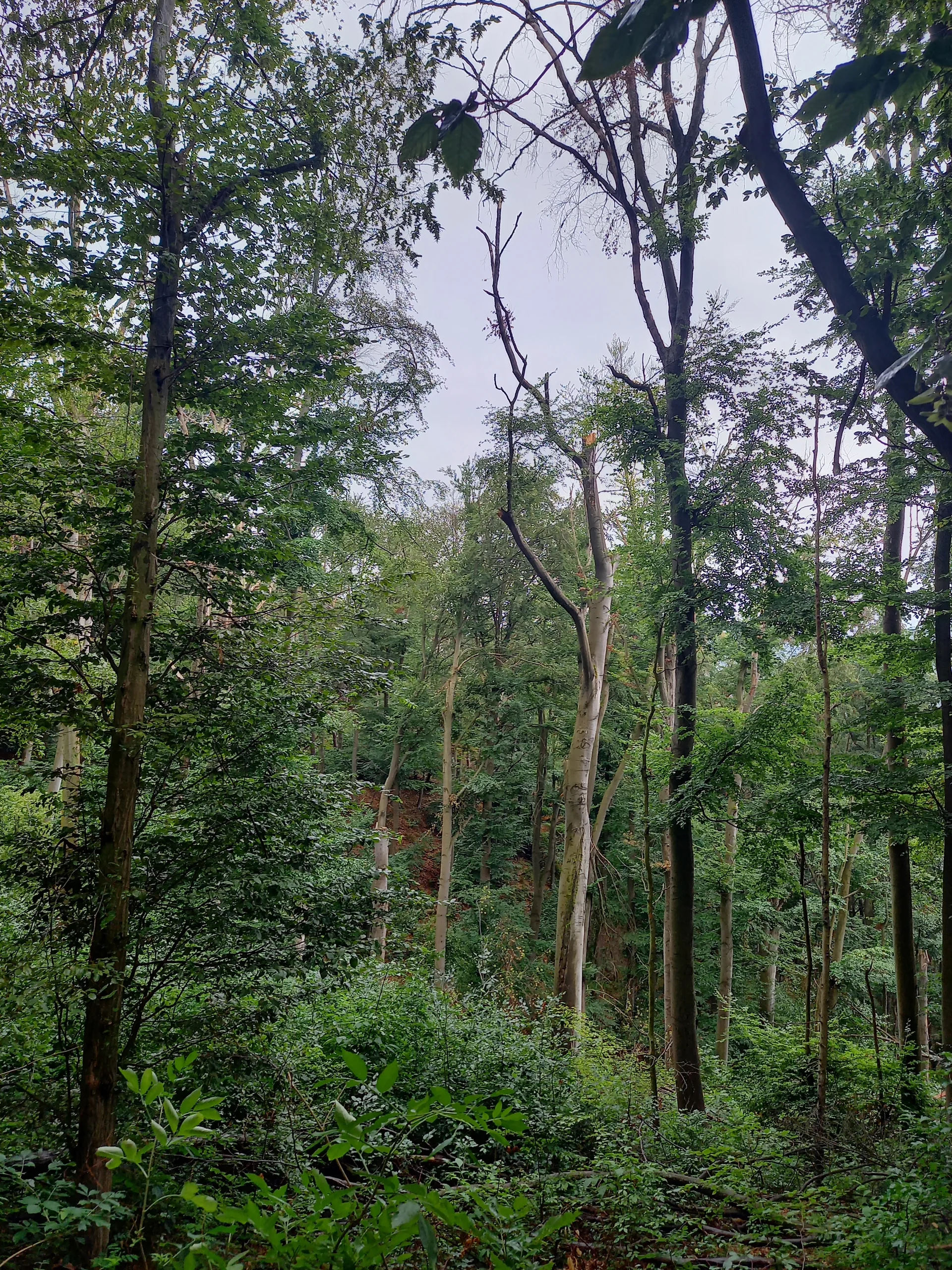 DAV Göttingen | © DAV Göttingen