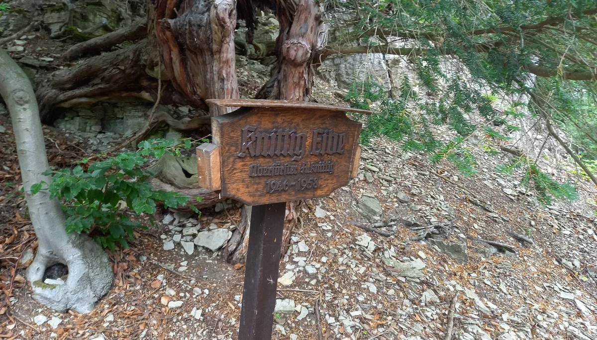 DAV Göttingen | © DAV Göttingen