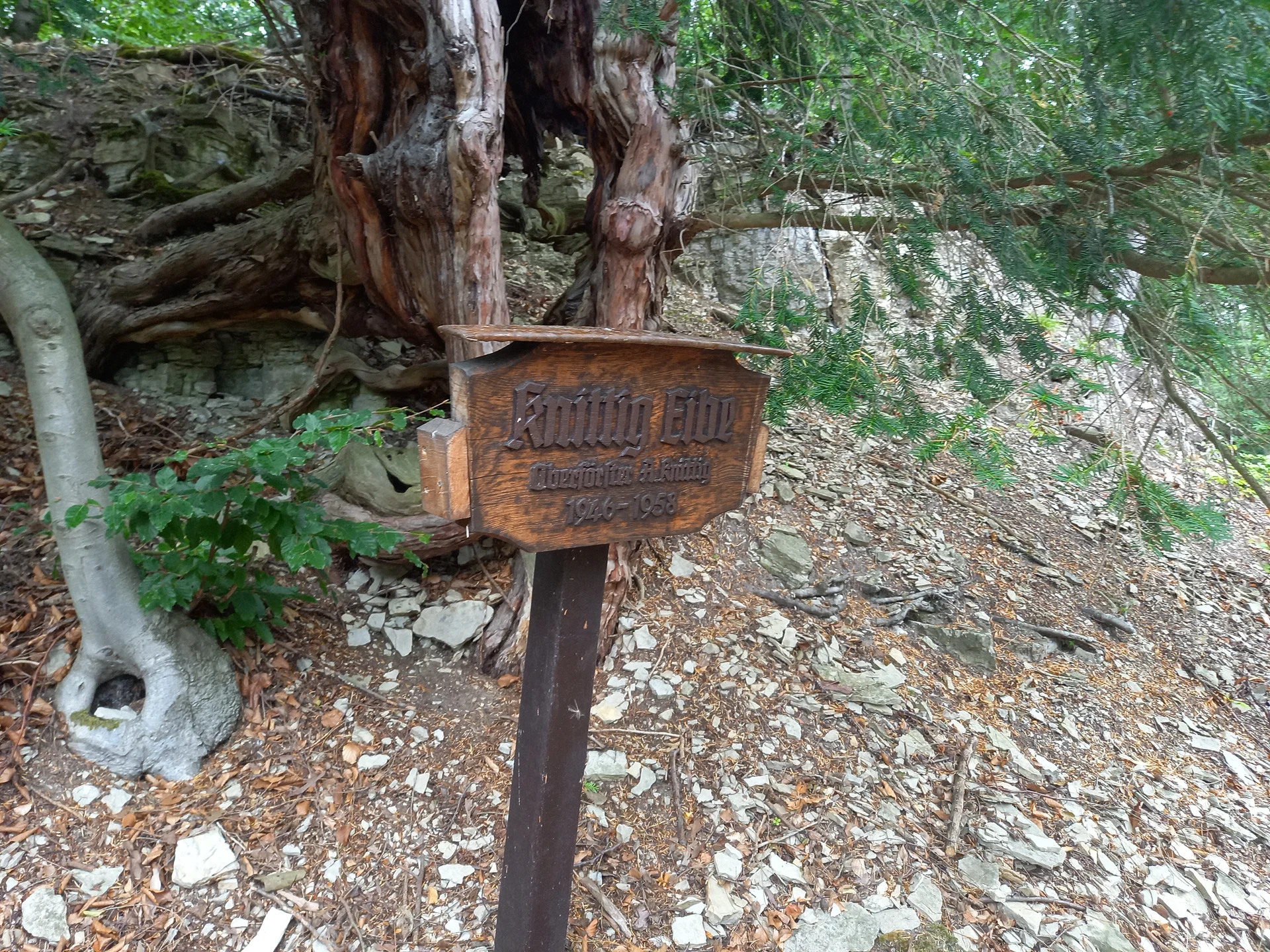 DAV Göttingen | © DAV Göttingen