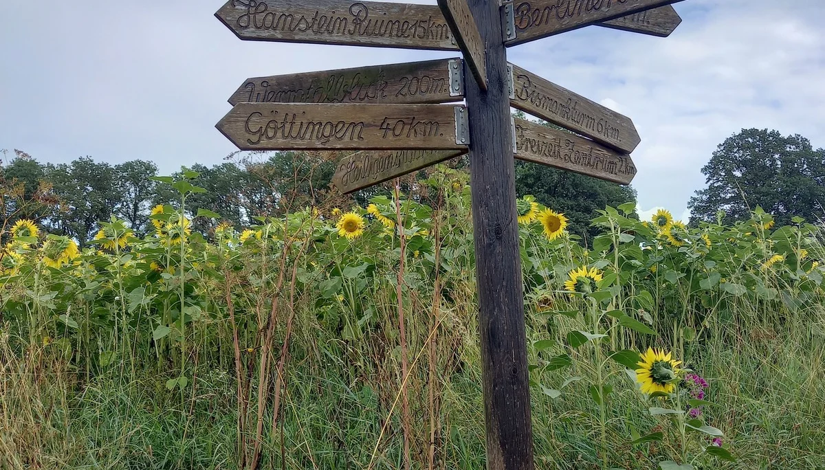 DAV Göttingen | © DAV Göttingen