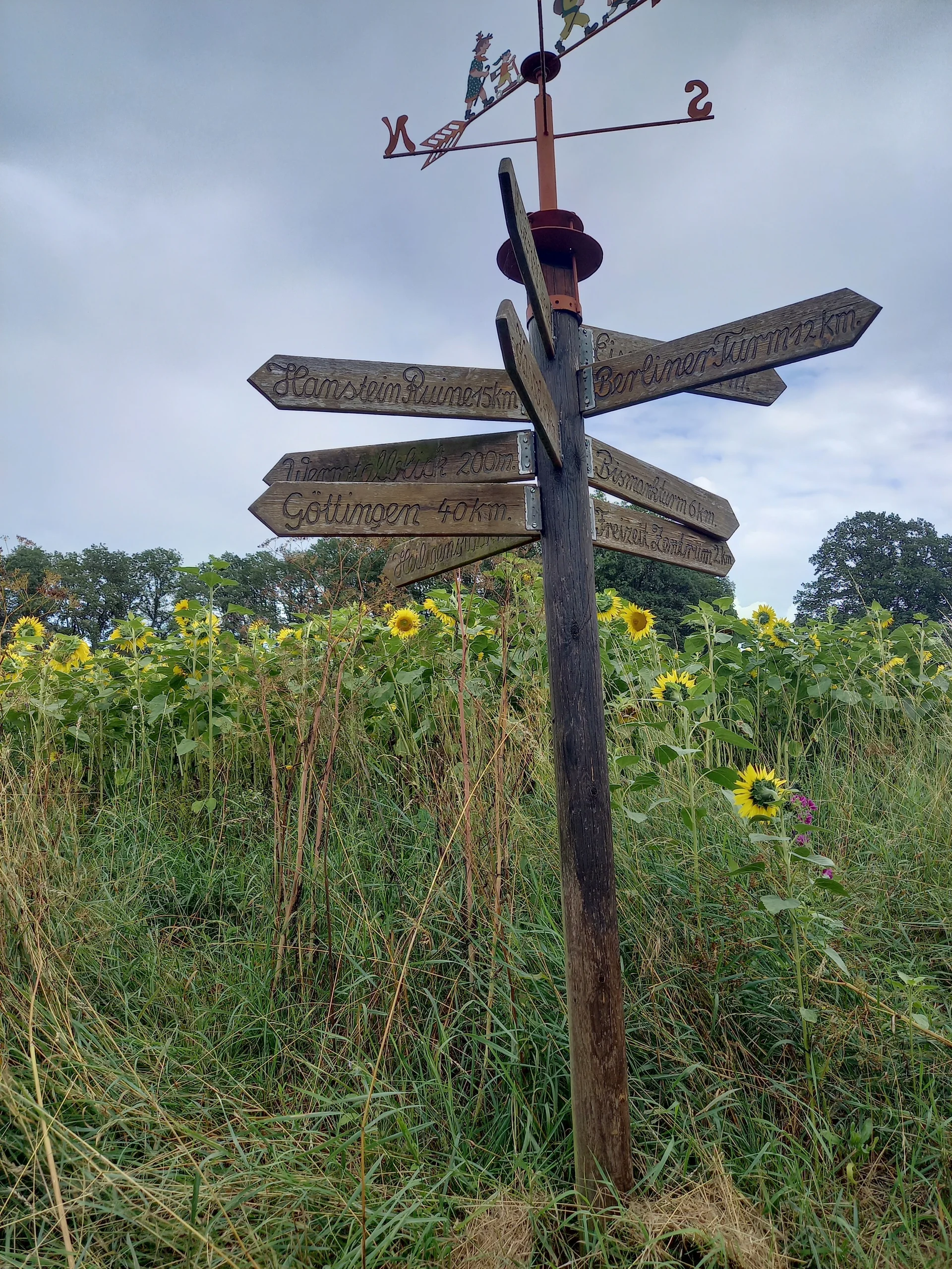 DAV Göttingen | © DAV Göttingen