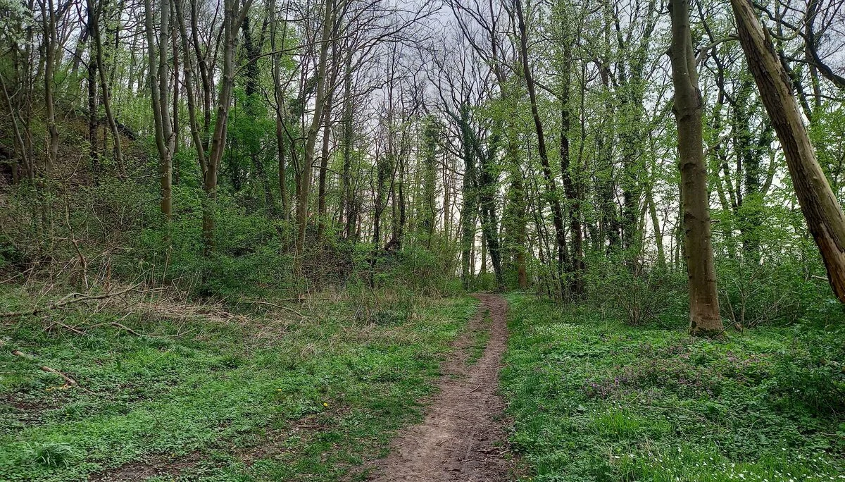 © DAV Göttingen
