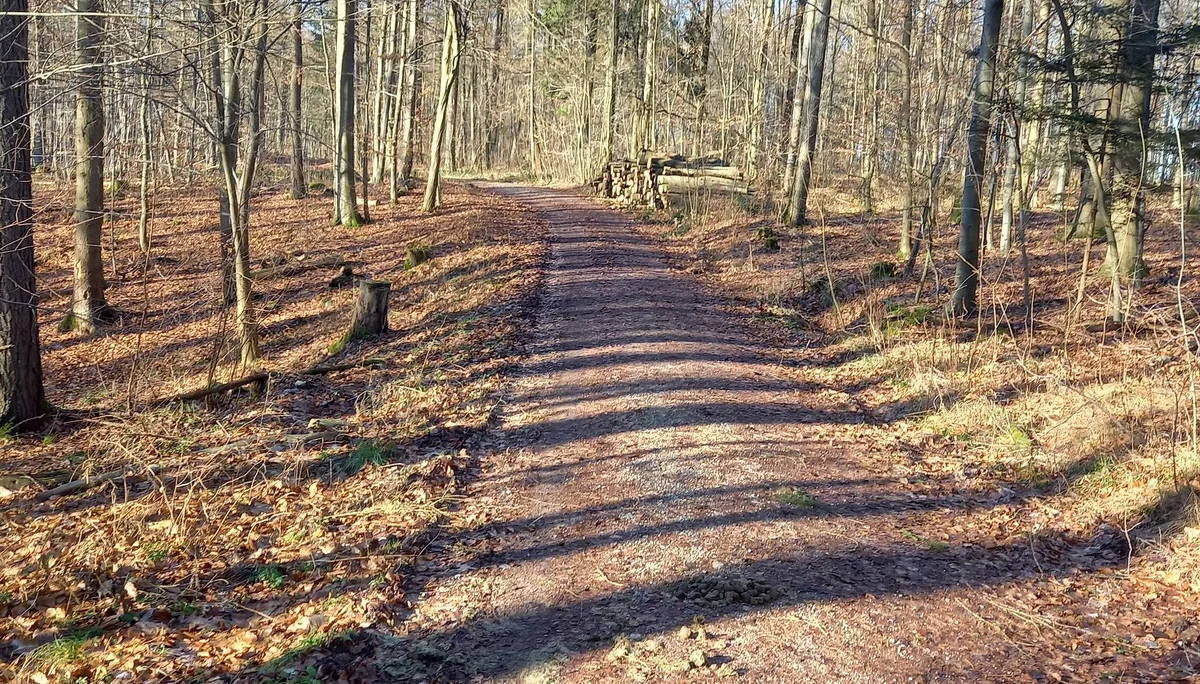 © DAV Göttingen