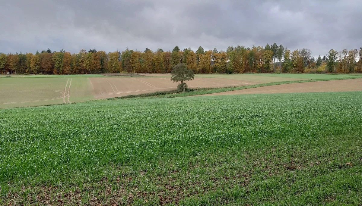 © DAV Göttingen