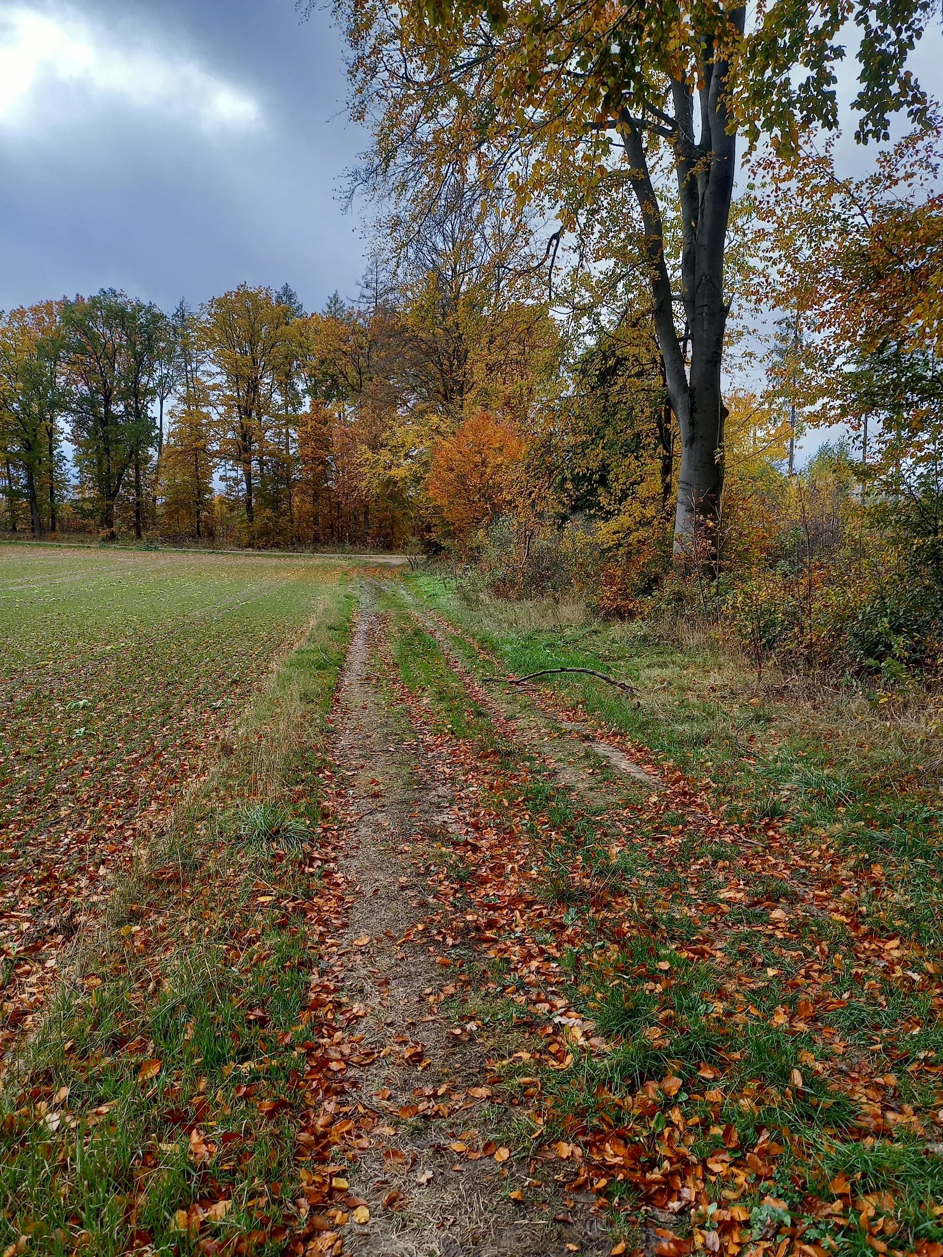 © DAV Göttingen