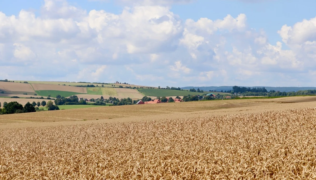 © DAV Göttingen