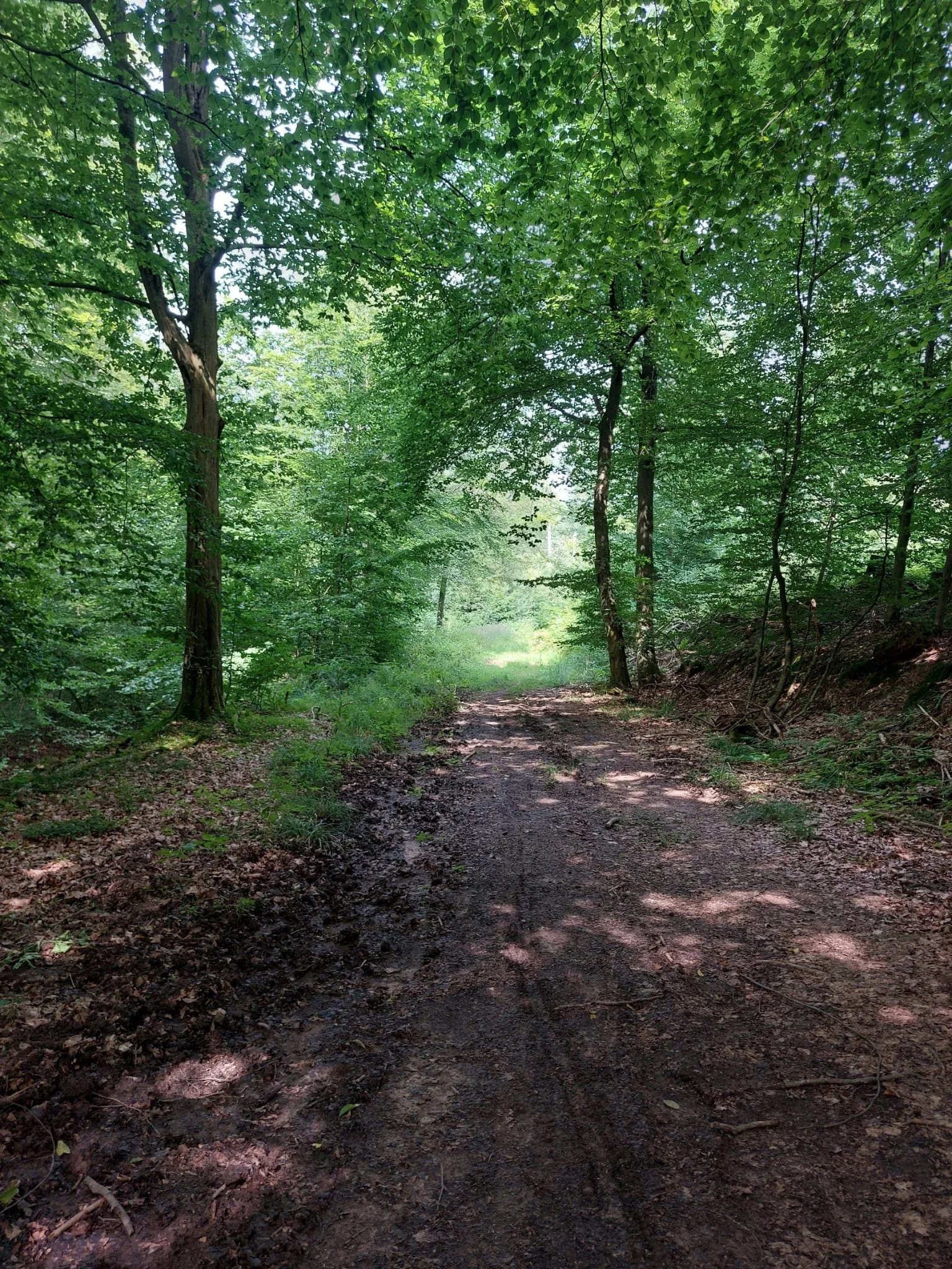 © DAV Göttingen