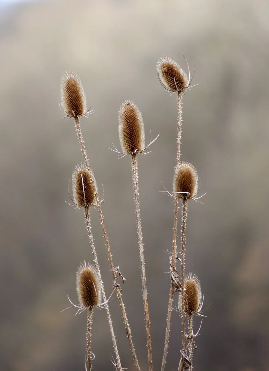 © DAV Göttingen