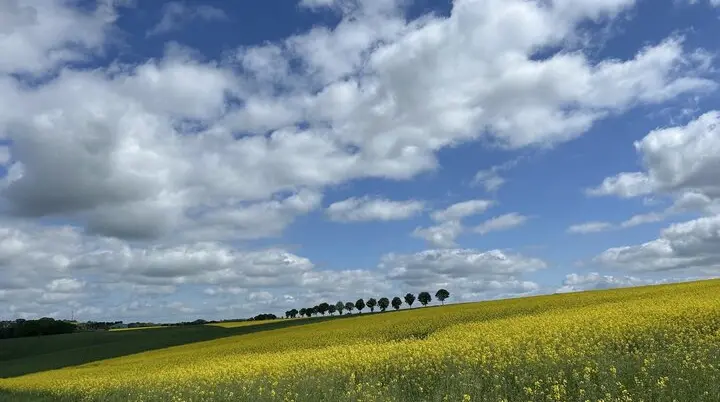 © DAV Göttingen
