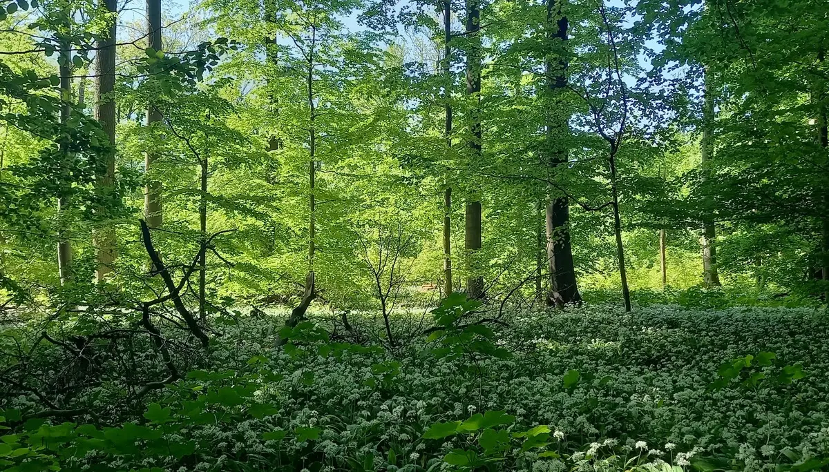 © DAV Göttingen