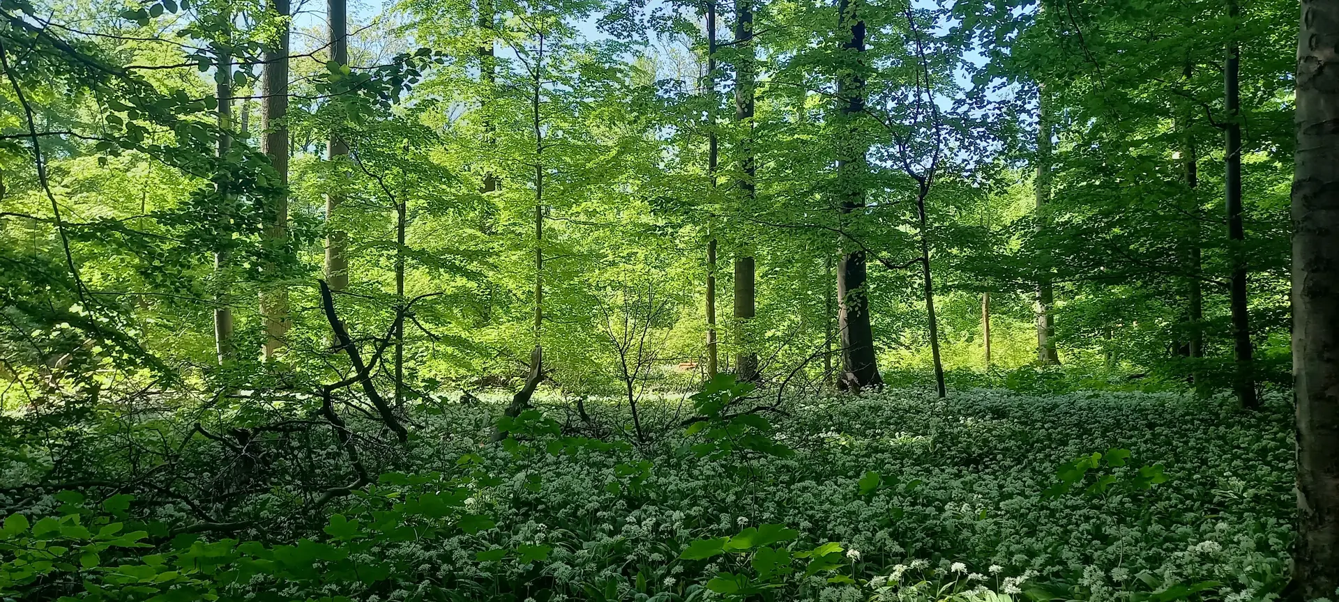 © DAV Göttingen