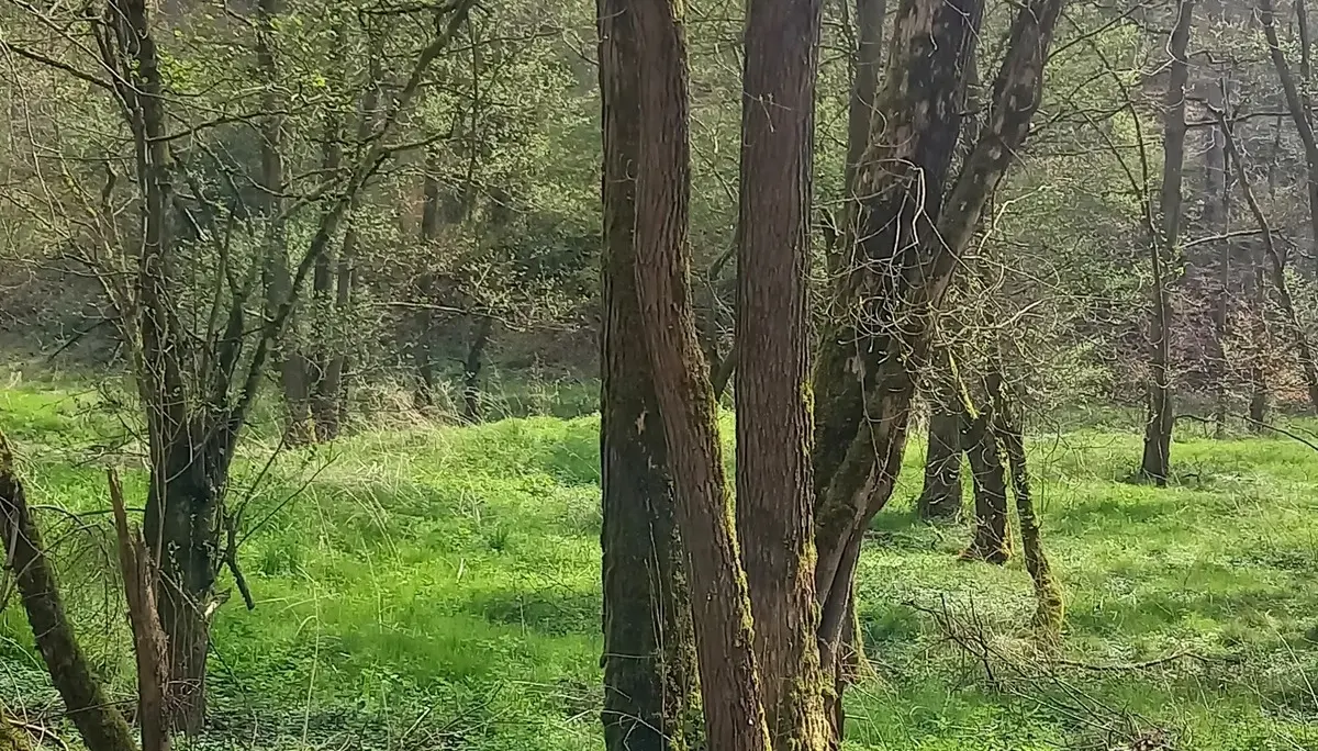 © DAV Göttingen