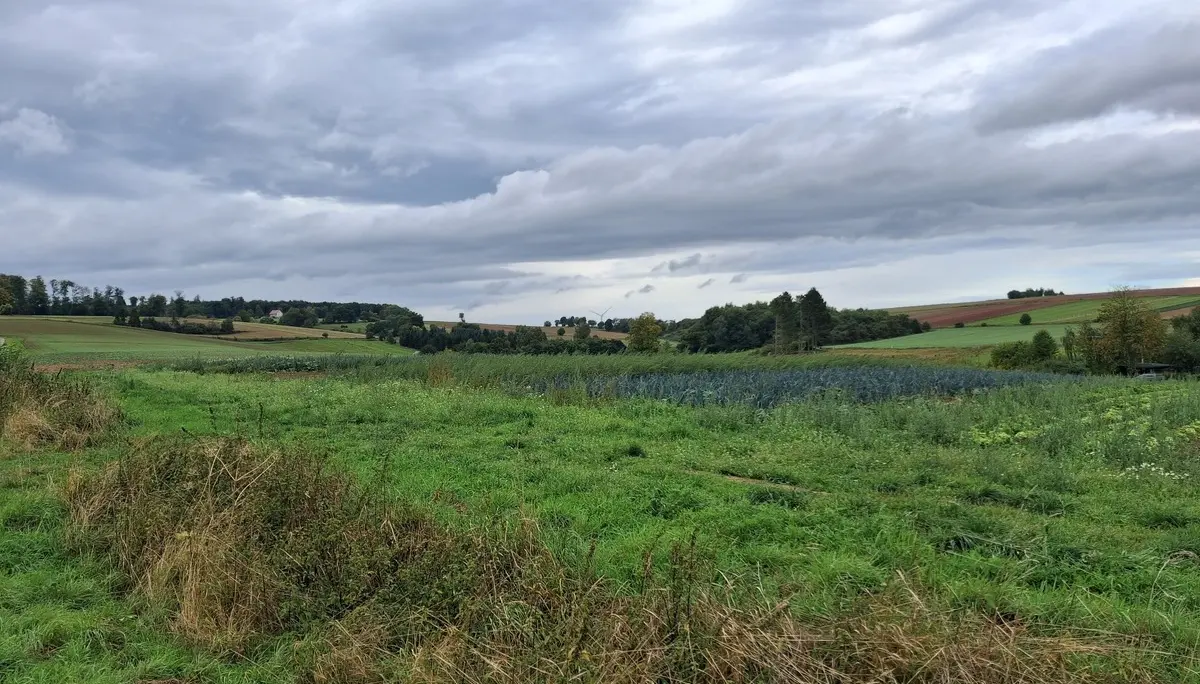 © DAV Göttingen