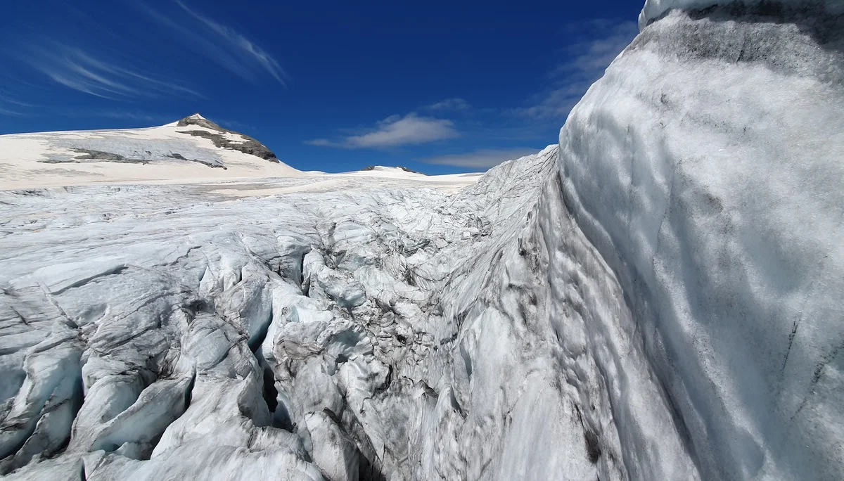 Aus der Spalte | © N. Joelson