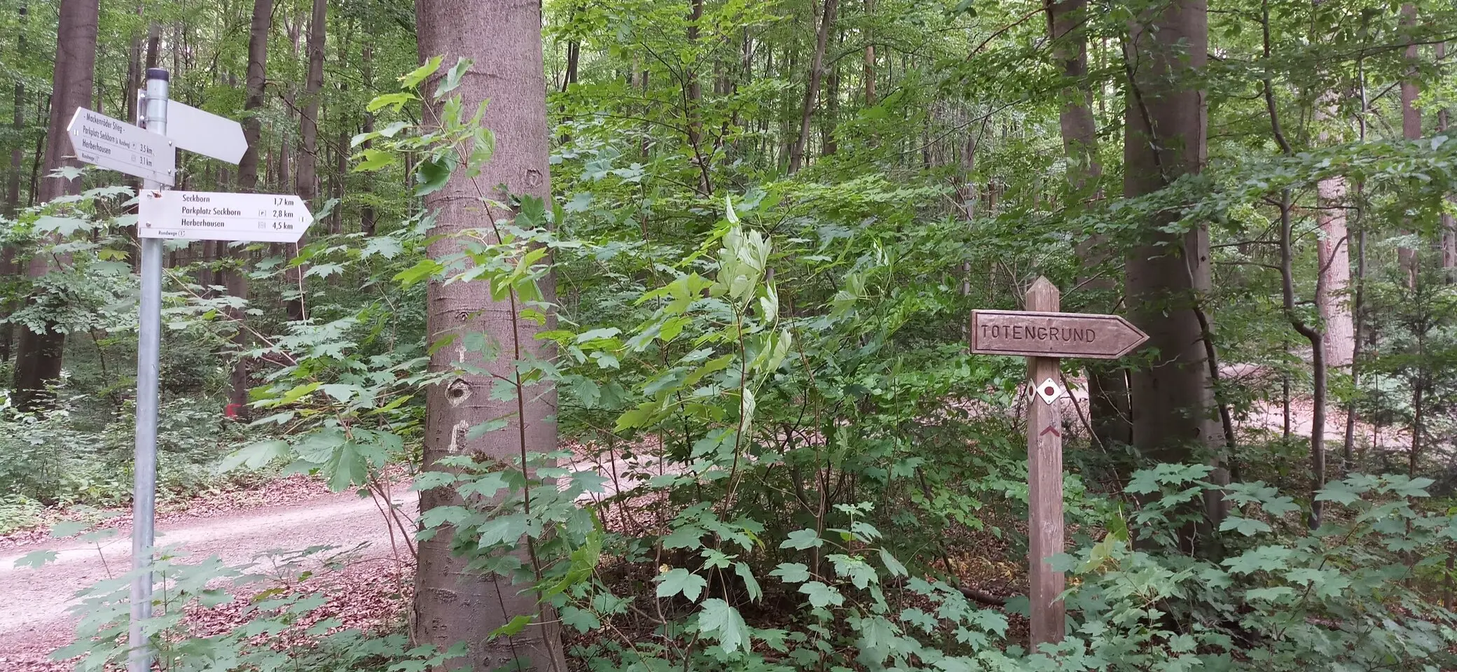 Totengrund2 | © DAV Sektion Göttingen