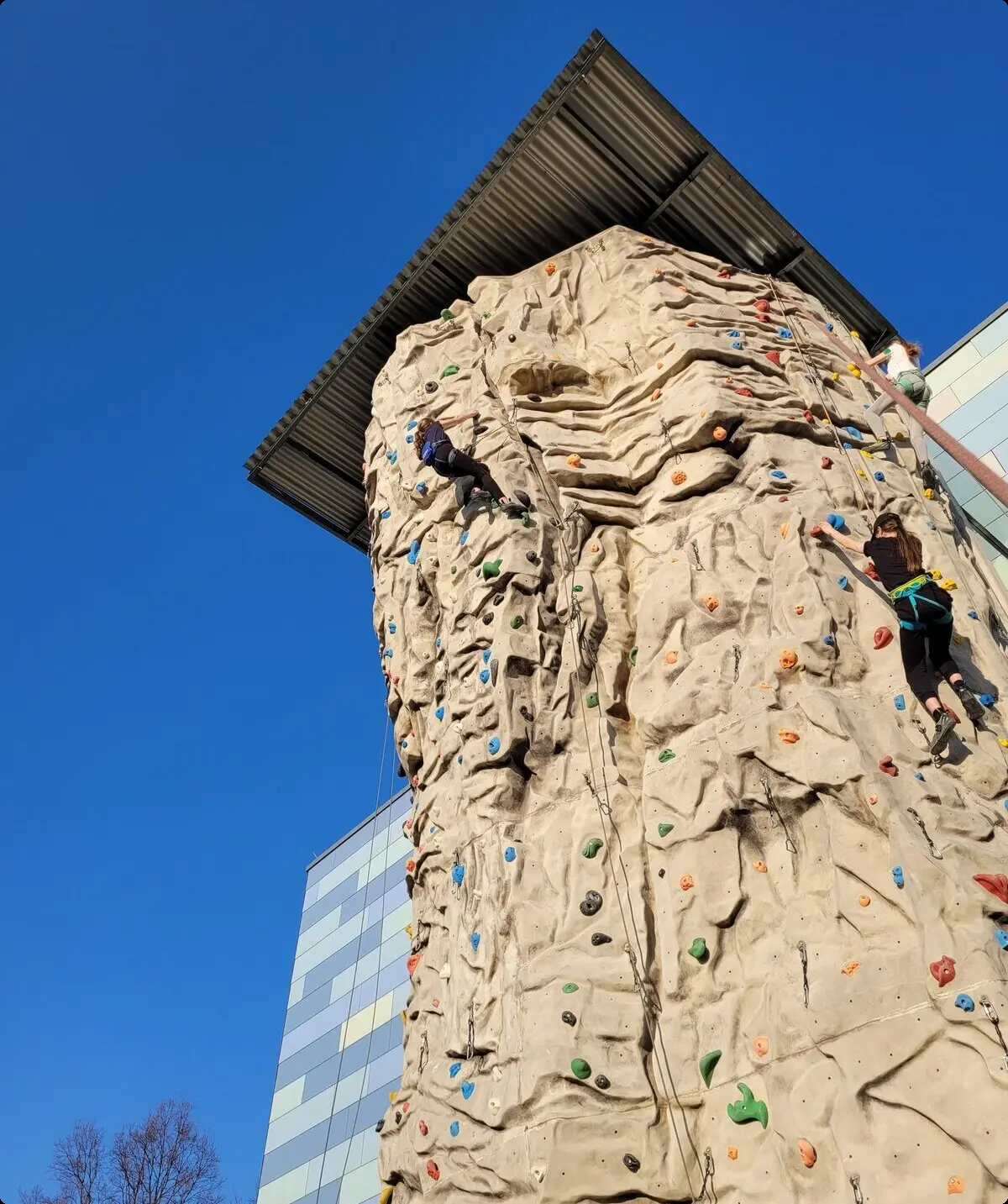Klettern am Außenturm im Roxx | © Burga Thies